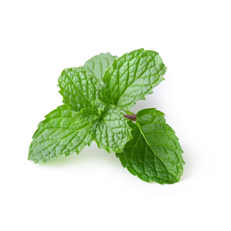 An image of mint leaves.